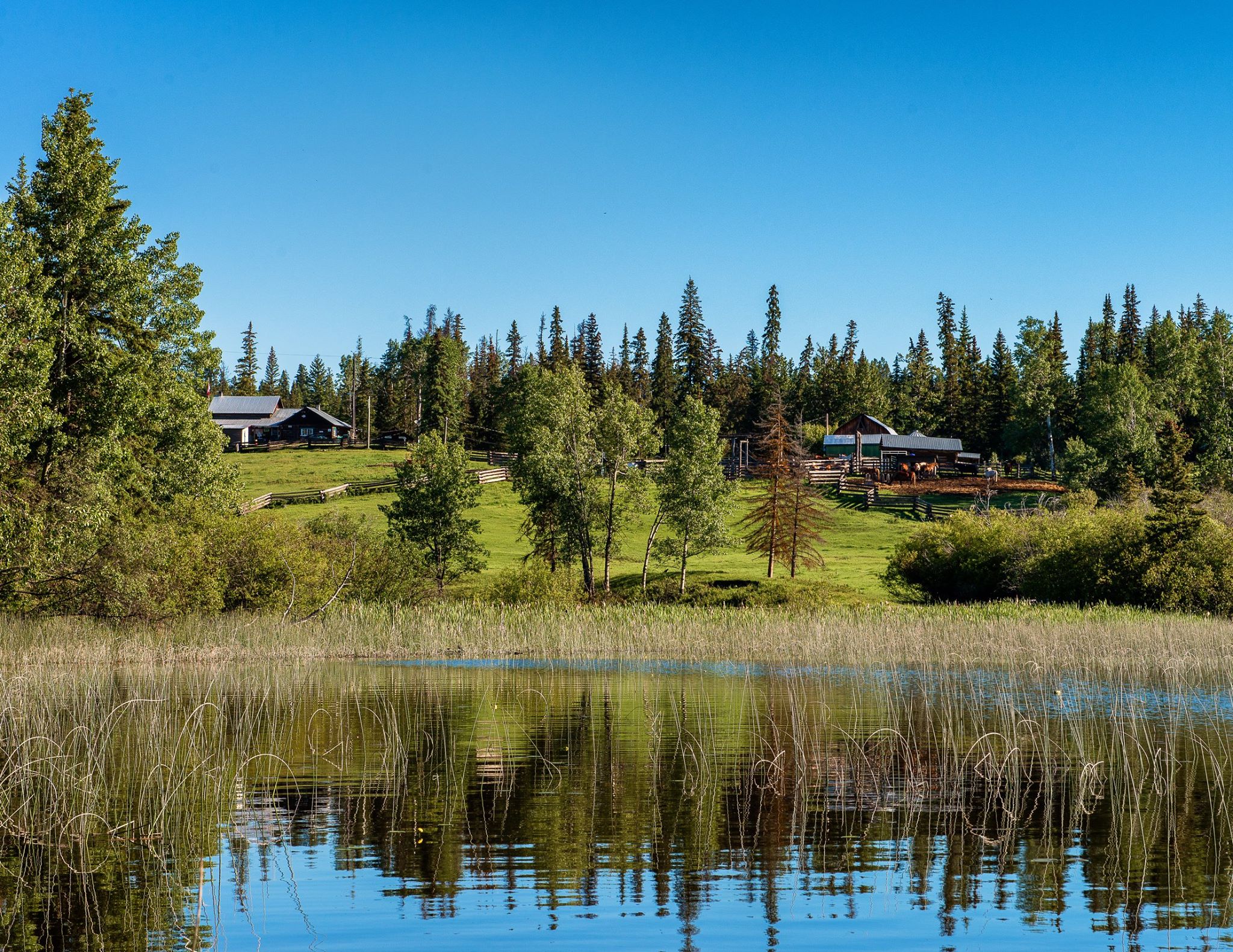 Watch Lake Lodge | Old Fashioned Family Fun